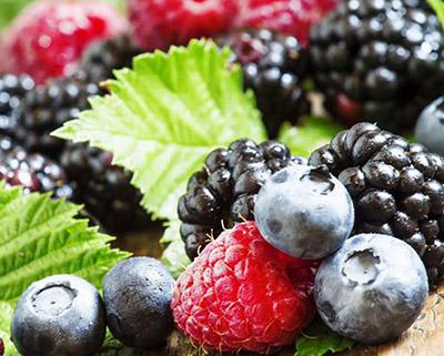 蓝莓、树莓、草莓加工青青草污网站APP