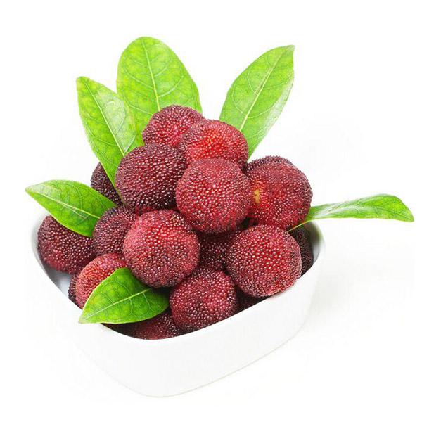 杨梅青青草污网站APP