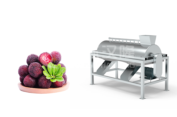 杨梅专用去核机